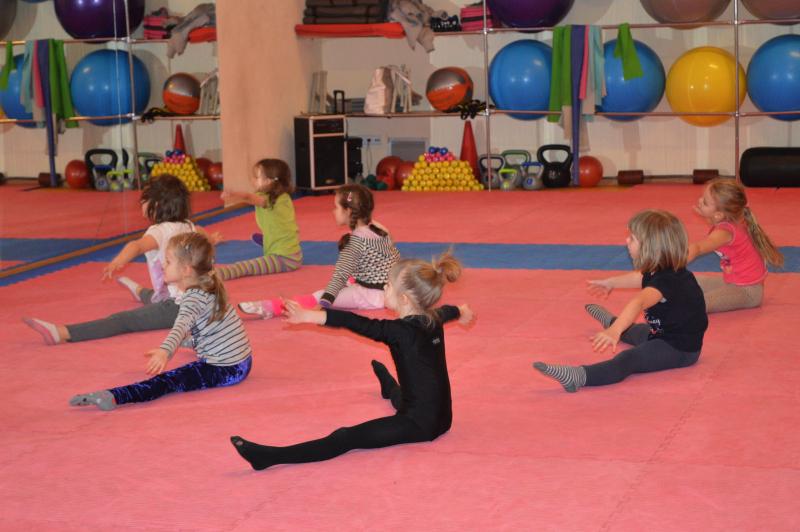 Gimnastyka artystyczna i akrobatyka sportowa
