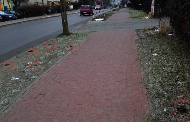 Brak kosza czy kultury