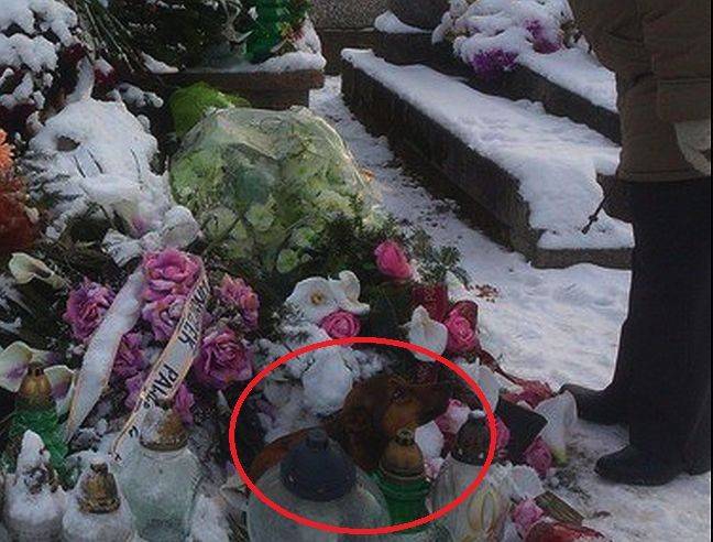 Potrzebna pomoc dla wiernego pieska