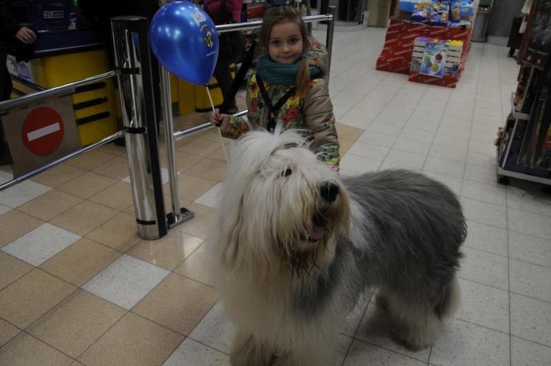 Mrówka zaprasza na 7 urodziny