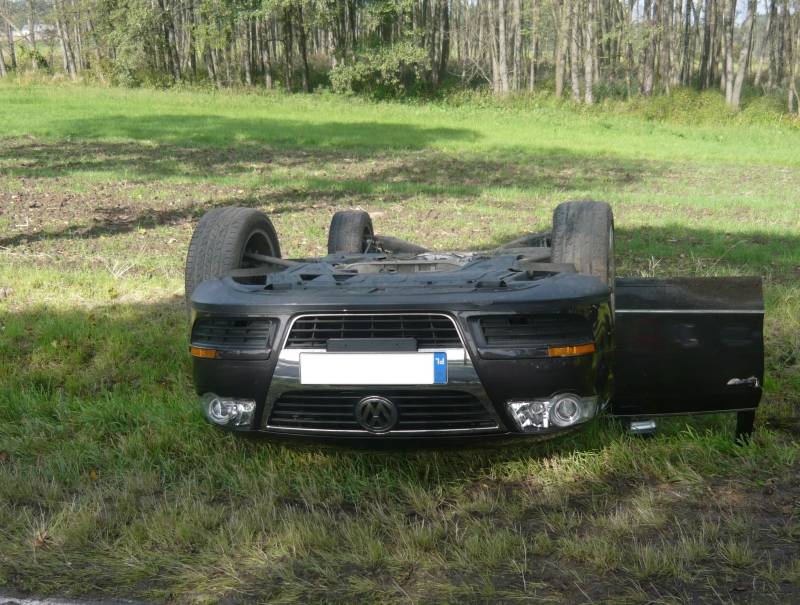Dachowała w Pogorzelcu