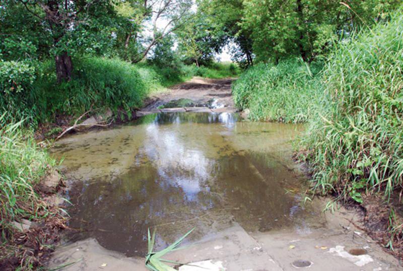 Kto zanieczyszcza Narew? - bakteria E. Coli wciąż w rzece