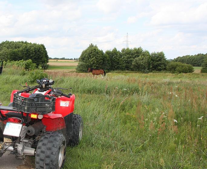 Quad uderzył w źrebaka. Za kierownicą siedział... 11 - latek