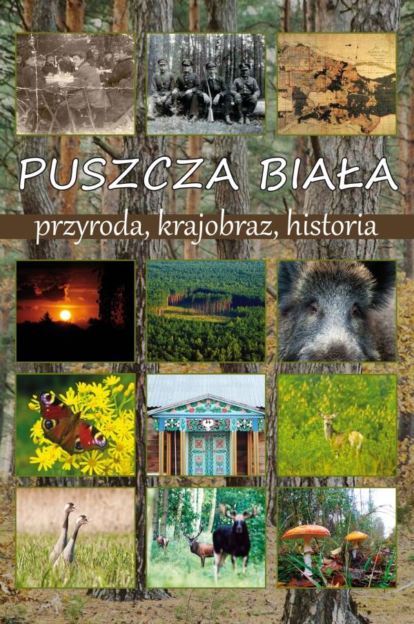 „Puszcza Biała – przyroda, krajobraz, historia” - już w sprzedaży