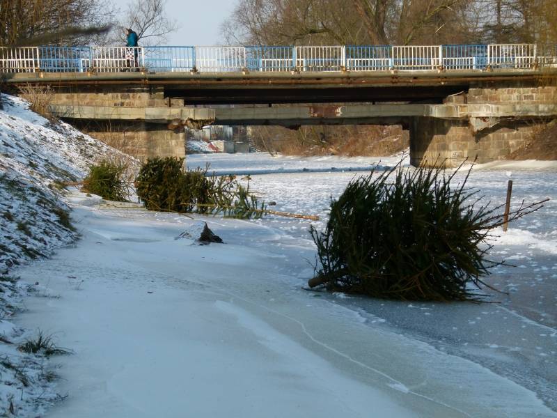Zaśmiecają kanałek
