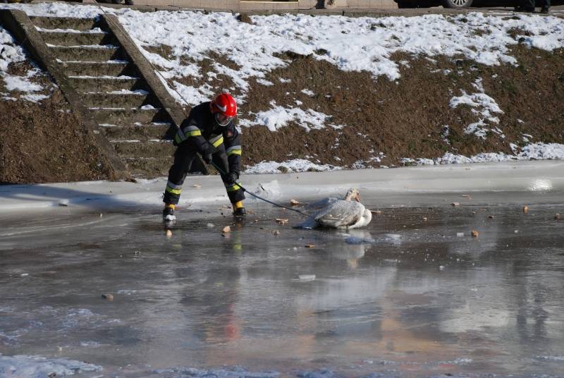 Akcja strażaków nad kanałkiem