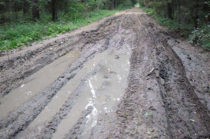 Droga Lipniki Stare -Gromin. Przed wyborami...