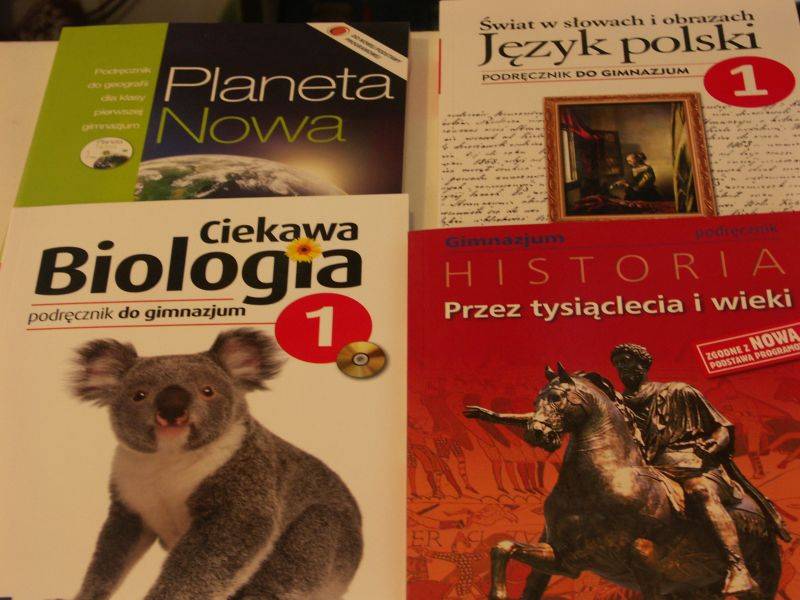 Włos się jeży na głowie, czyli wyprawka dla pierwszoklasisty