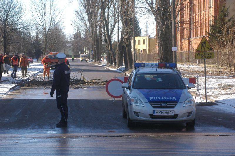 Wycinka na Tysiąclecia