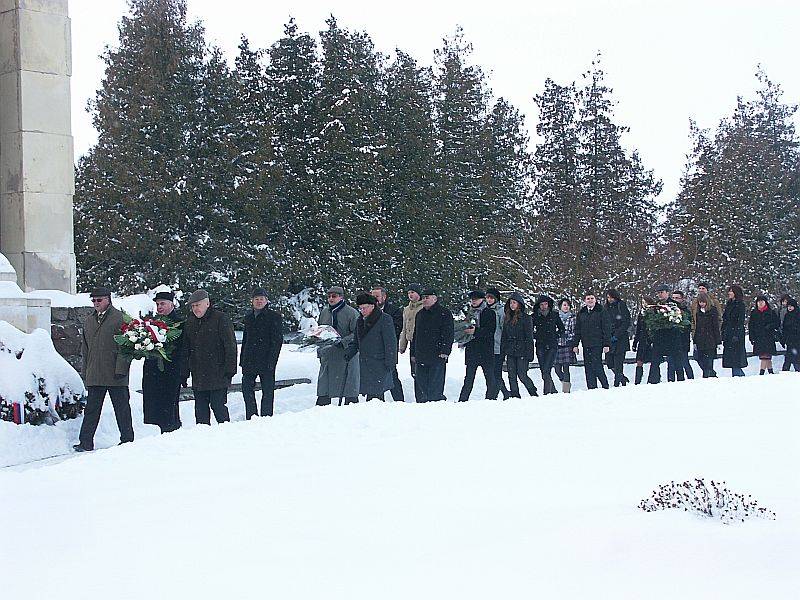 Kwiaty w rocznicę wyzwolenia miasta