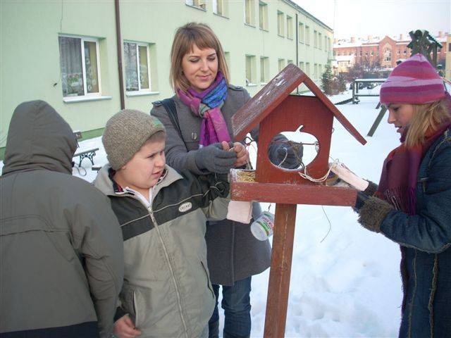 Ptasia stołówka w SOSW