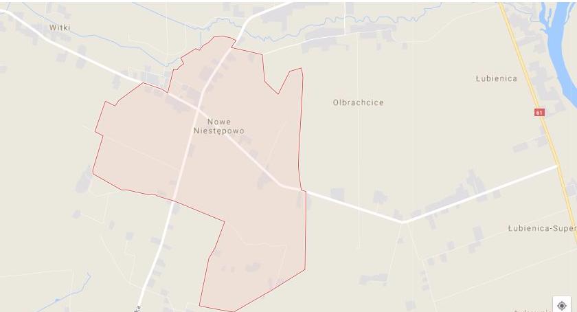 Hodowla trzody chlewnej w Niestępowie Nowym? - mieszkańcy będą protestować
