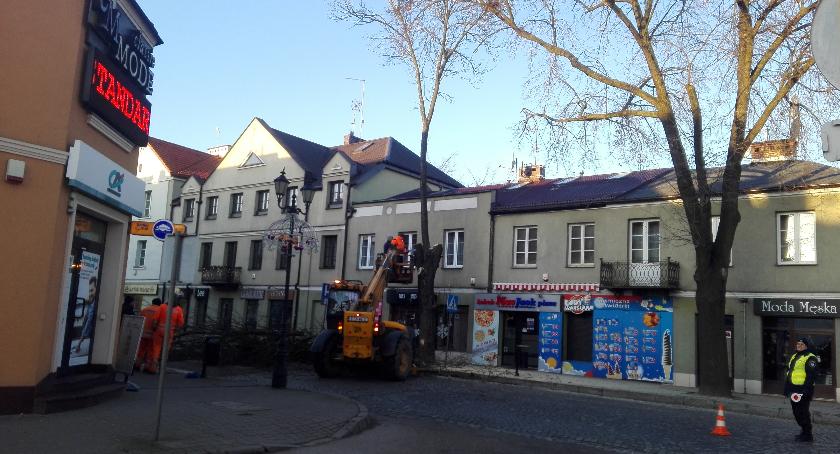 Wycinka na ul. Świętojańskiej