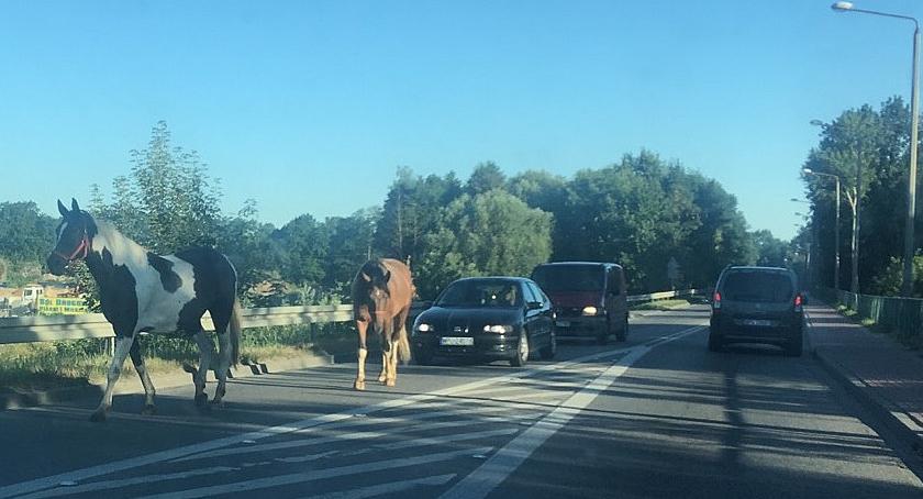 Tymczasem w Pułtusku o 6:30