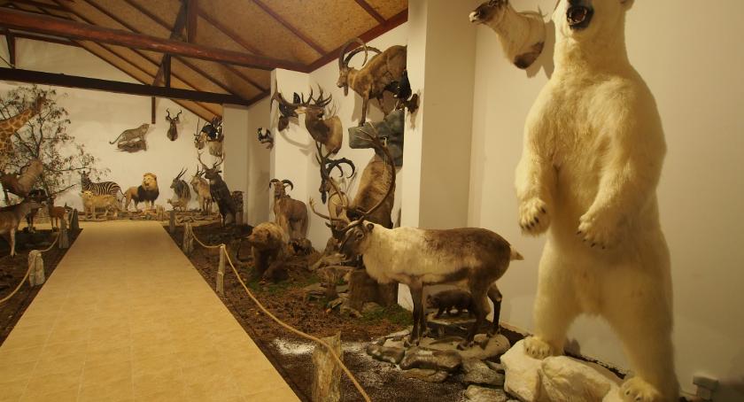 Galeria myśliwska w Gotardach