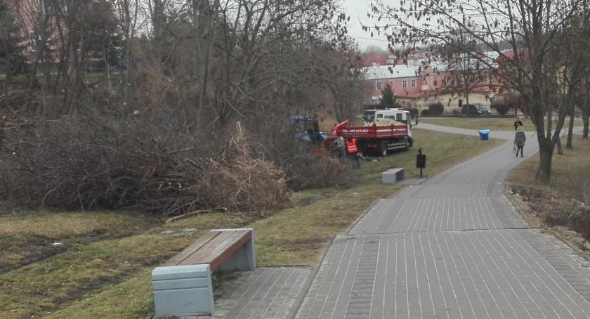 Trwają prace przy zagospodarowaniu terenów zielonych w mieście