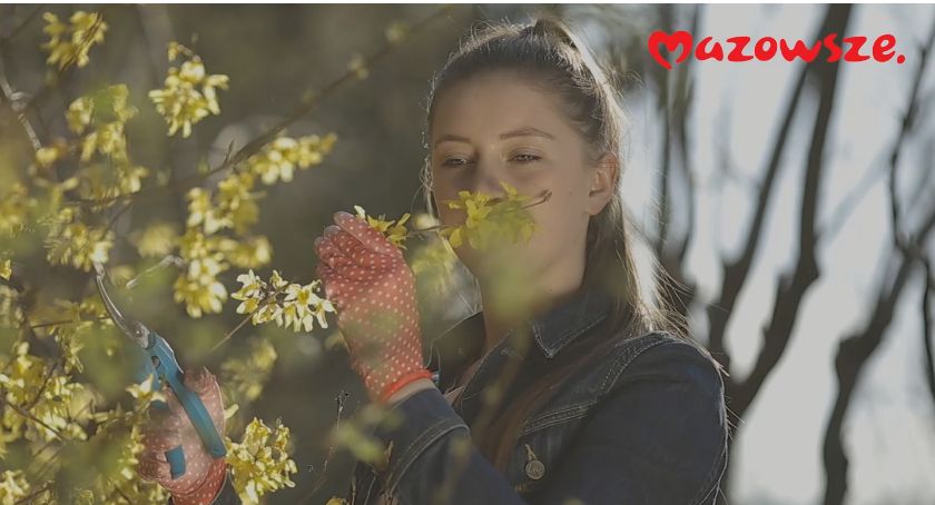 Ruszyły programy wsparcia z budżetu Mazowsza