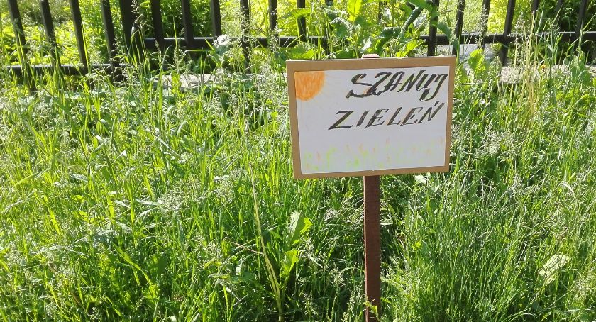 Pułtusk zarośnięty, czyli 1:0 dla natury