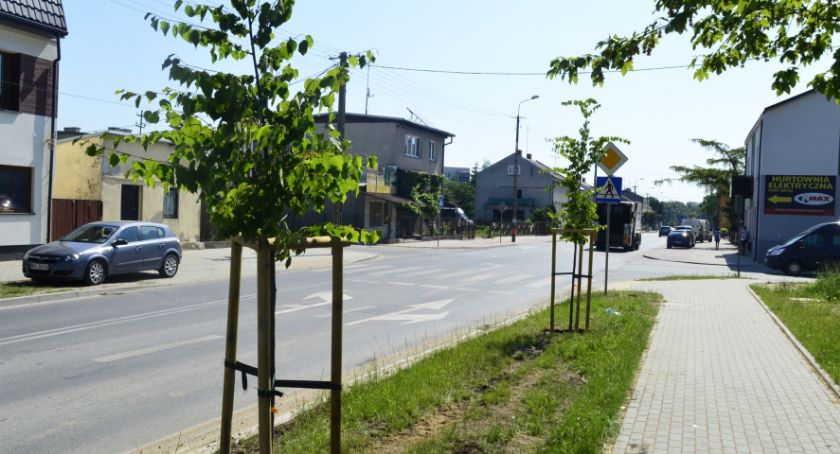 Nowe nasadzenia na Wojska Polskiego