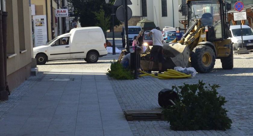 Zazieleniło się