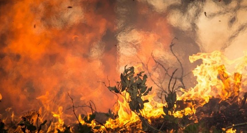 Pożar budynku jednorodzinnego w Głodowie