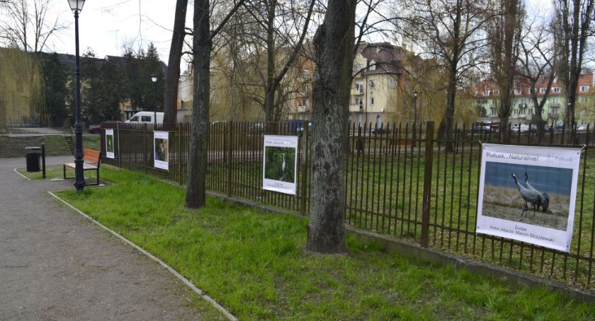 Wystawa plenerowa zyskała drugie życie