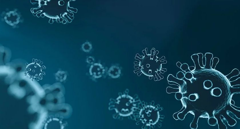 11 osób objętych nadzorem epidemiologicznym, 2 kwarantanną