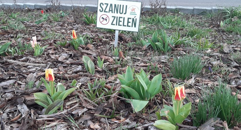 Informacja o Ograniczeniach korzystania z terenów zieleni i placów zabaw
