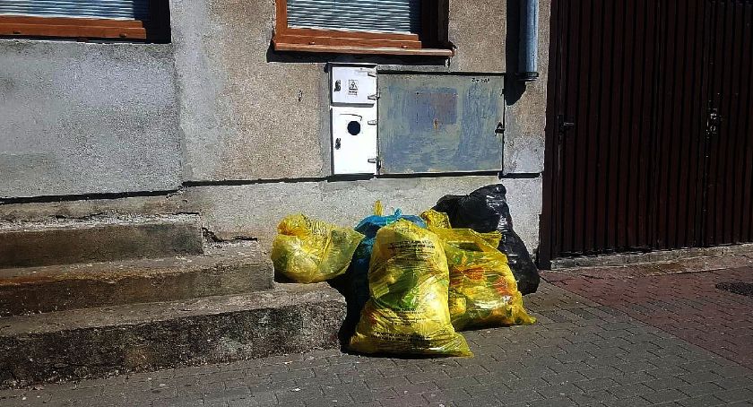 Tyle śmieci w całym mieście…