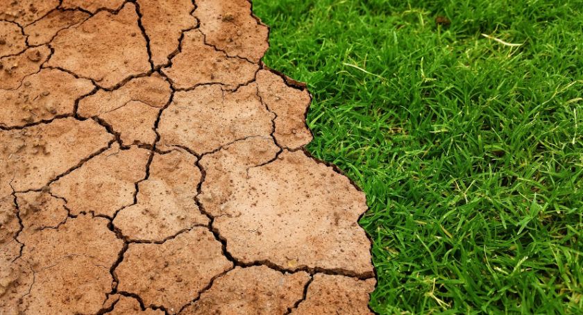 Światowy Dzień Ziemi – każdy z nas może zadbać o środowisko naturalne