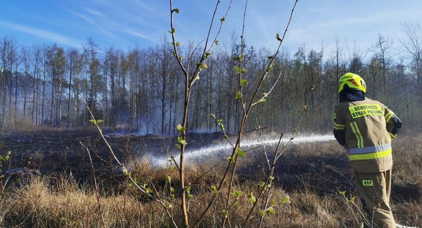 Pożar lasu w Bartodziejach w relacji strażaków OSP