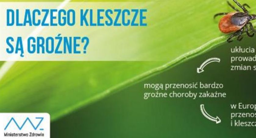 Co należy wiedzieć o kleszczach?