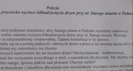 Stop wycince drzew na Starym Mieście!
