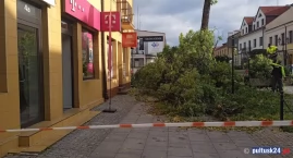Po niebezpiecznej nocy połamane drzewa 
