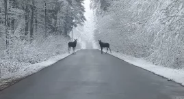 Zima może być piękna