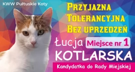 Pilne! Z ostatniej chwili! Kotka Łucja kandydatką do Rady Miejskiej w Pułtusku  