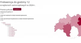 Wybory samorządowe 2024 - frekwencja do godziny 12:00