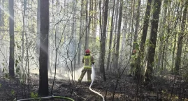 Spłonęło 90 arów lasu. Dogaszanie trwa do dziś
