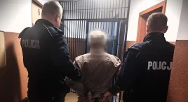  Zabił siekierą psa! 67-latek z powiatu żuromińskieg…