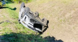 Zachowania zwierząt wybiegających na jezdnię nie da …