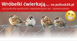 Wróbelki ćwierkają na Pultusk24