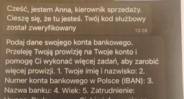 Miała tylko lajkować posty. 29-latka straciła prawie…