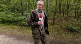 Zgubisz się w lesie podczas grzybobrania? Co robić? …