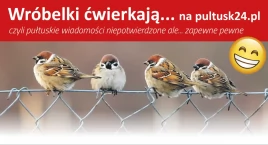 Wróbelki ćwierkają