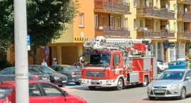 Nietypowa interwencja. Strażacy ratują jeżyka