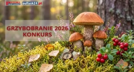 Grzybobranie 2026 – rusza konkurs! Szczegóły w regulaminie