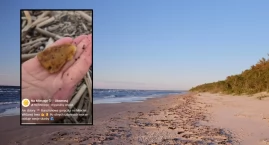 Po sztormie na plażach Bałtyku trwa bursztynowa gorą&hellip;
