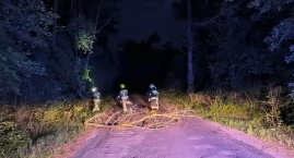 Nocna interwencja strażaków w Trzcińcu 