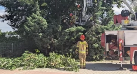  18 zdarzeń. Nie tylko gaszenie pożarów