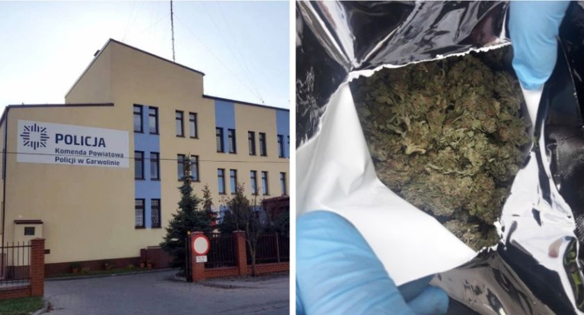 Narkotyki nie trafią na rynek – Policja zatrzymała 5 osób 